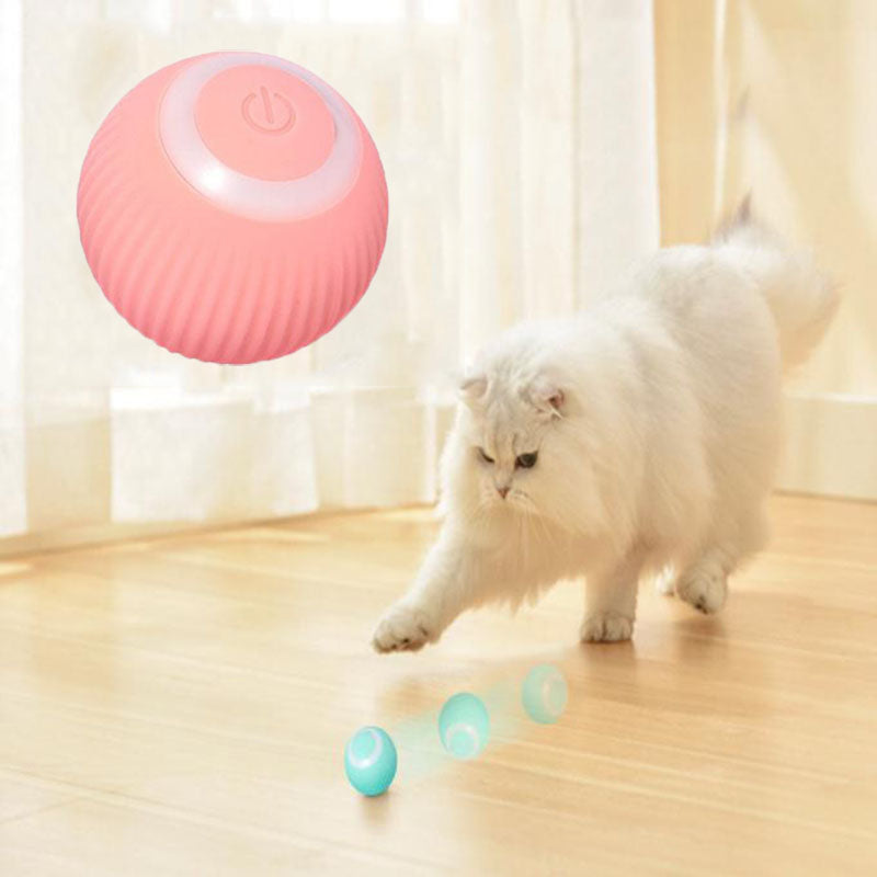 Pawtrove Interactive Ball