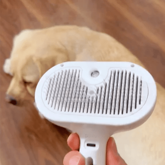 Steam Spray Dog Grooming Brush