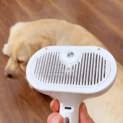 Steam Spray Dog Grooming Brush