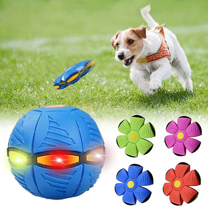 2-in-1 Transforming Dog Frisbee Ball™
