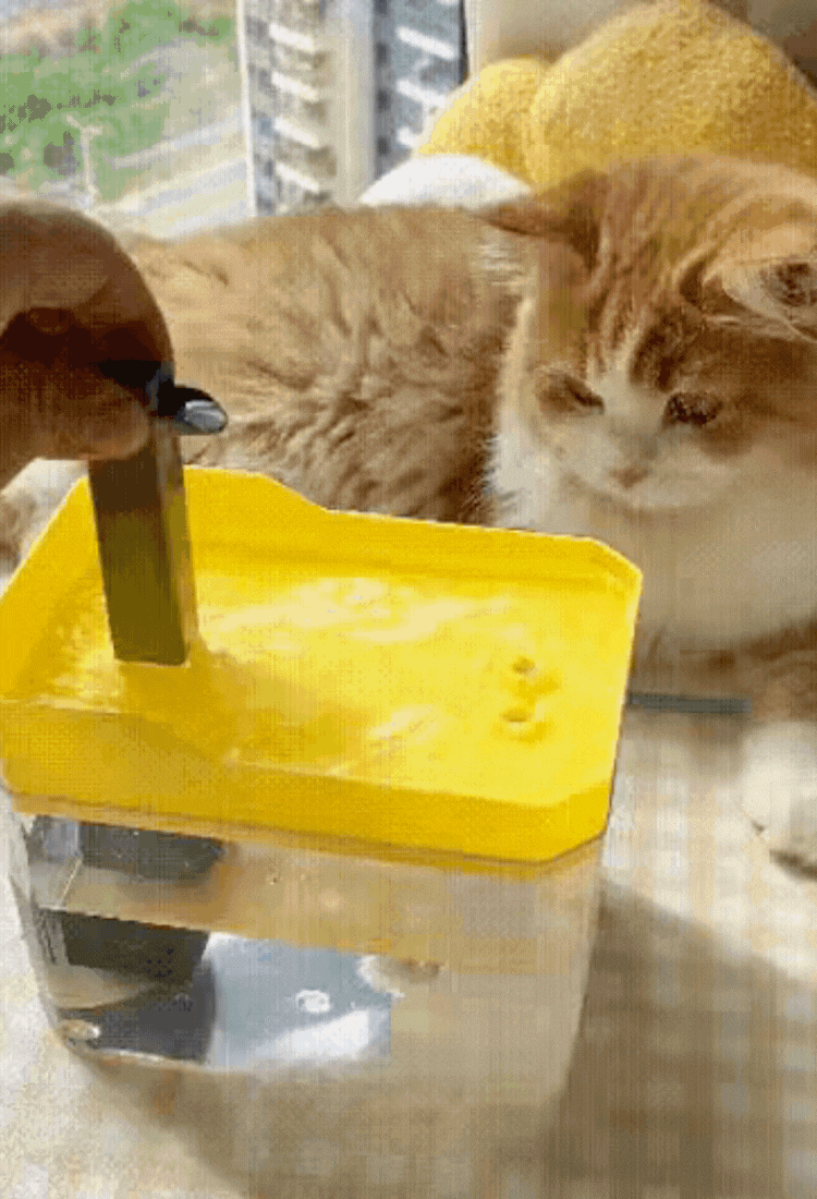 Automatic Cat Water Fountain