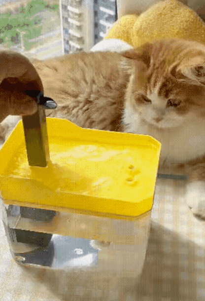 Automatic Cat Water Fountain