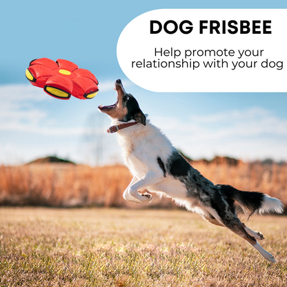 2-in-1 Transforming Dog Frisbee Ball™