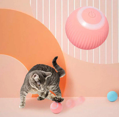 Pawtrove Interactive Ball