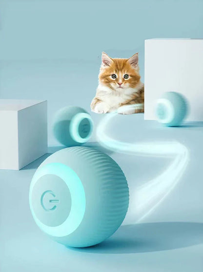 Pawtrove Interactive Ball