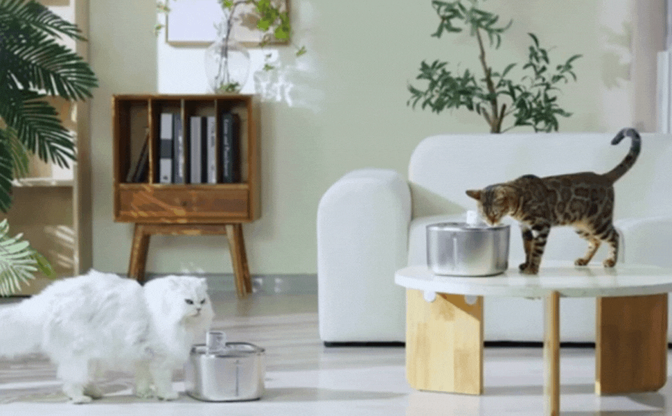 Automatic Cat Water Fountain