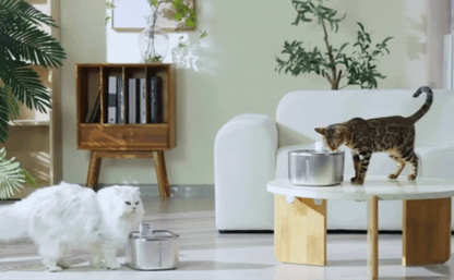 Automatic Cat Water Fountain