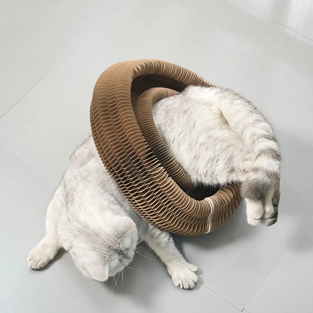 Magic Cat Scratching Board