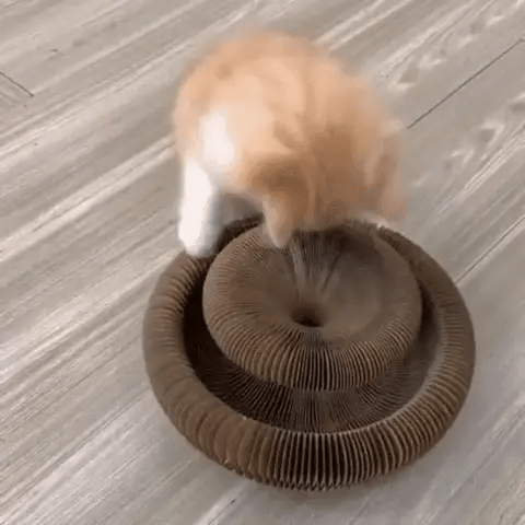 Magic Cat Scratching Board