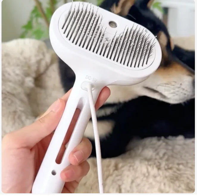 Steam Spray Dog Grooming Brush