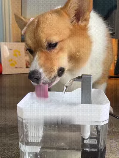 Automatic Cat Water Fountain